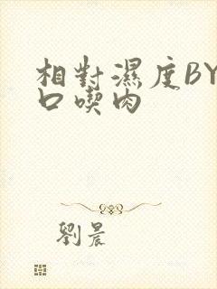 相对湿度BY大口吃肉