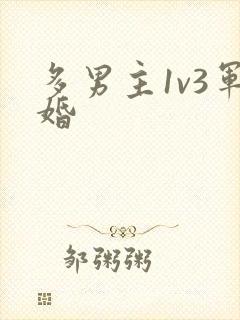 多男主1v3军婚