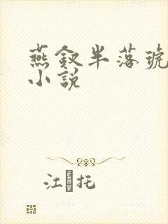 燕钗半落琥珀糖小说