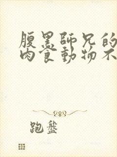 腹黑师兄的日常肉食动物不食草