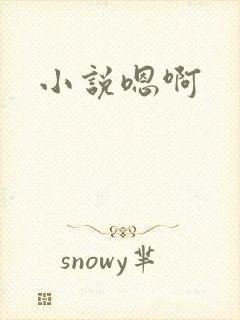 小说嗯啊