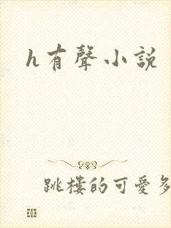 h有声小说