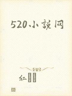 520小说网
