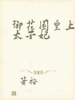 御花园皇上撞着太子妃