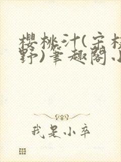 樱桃汁(宋枝江野)笔趣阁小说