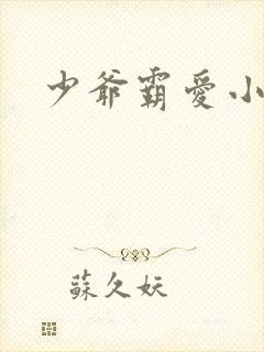 少爷霸爱小丫头