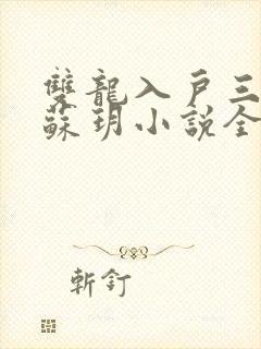 双龙入户三人行苏玥小说全文阅读