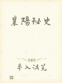 襄阳秘史