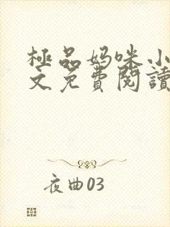 极品妈咪小说全文免费阅读