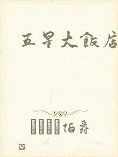 五星大饭店小说