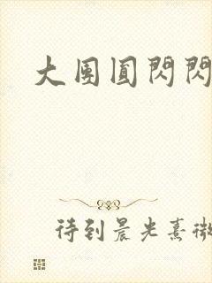 大团圆闪闪发光