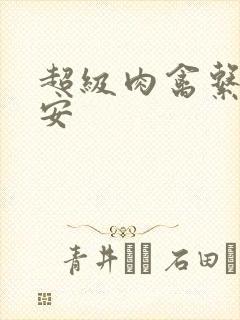 超级肉禽系统保安