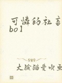 可怜的社畜【abo】