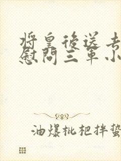 将皇后送去军营慰问三军小说