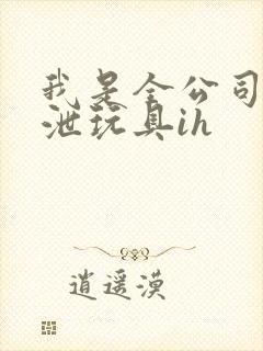 我是全公司的发泄玩具ih