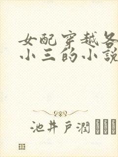 女配穿越各个做小三的小说