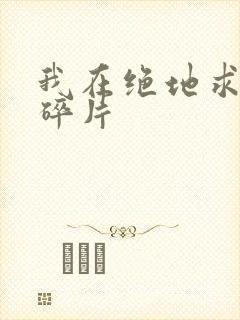 我在绝地求生捡碎片