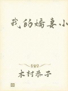 我的娇妻小说