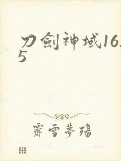 刀剑神域16.5