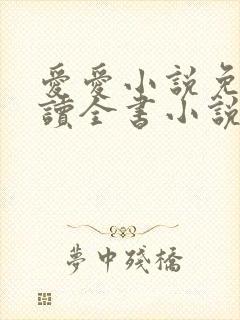 爱爱小说免费阅读全书小说乡村