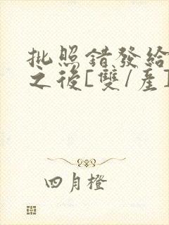 批照错发给情敌之后[双/产]