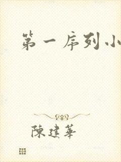 第一序列小说
