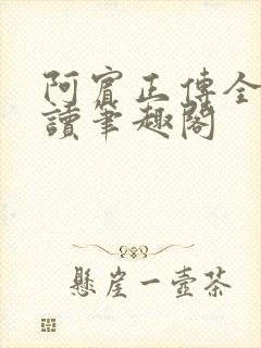 阿宾正传全文阅读笔趣阁