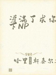 灌满了求你们停下NP