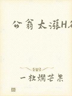 公翁太涨H欲渴