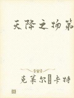 天降之物第一季