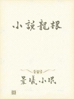 小说龙根