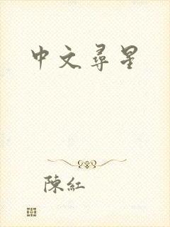 中文寻星