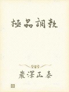极品调教