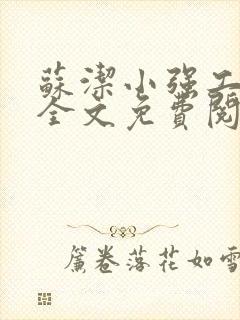 苏洁小强工地情全文免费阅读