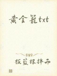 黄金笼txt
