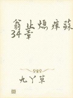 翁止熄痒苏钥第34章