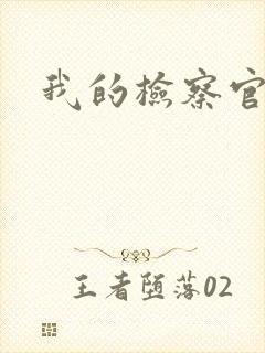 我的检察官先生