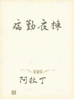 病勤夜栋