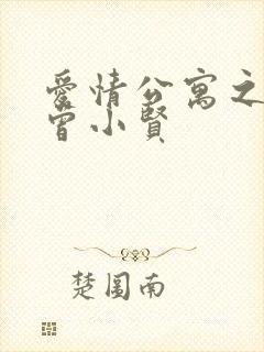 爱情公寓之极品曾小贤