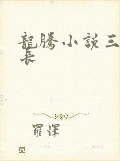 龙腾小说三宝局长