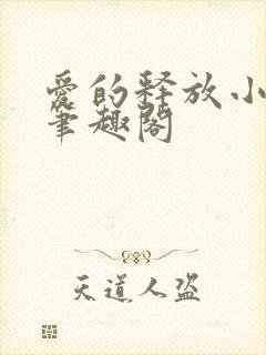 爱的释放小说 笔趣阁