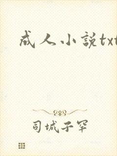 成人小说txt