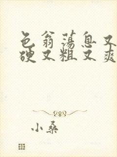 色翁荡息又大又硬又粗又爽小莹