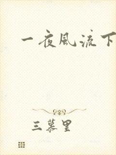 一夜风流下载