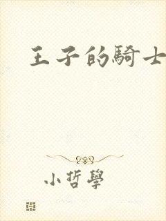 王子的骑士小说