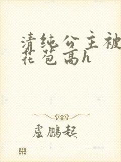 清纯公主被迫开花苞高h