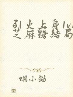 引火上身1v1芝麻糖结局