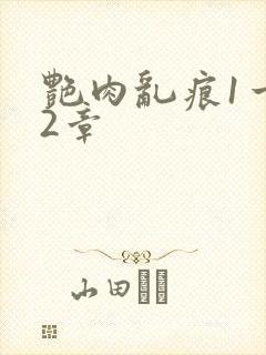 艳肉乱痕1一12章