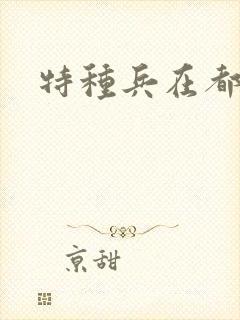 特种兵在都市