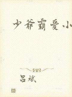 少爷霸爱小丫头